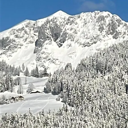 Bergliebe Apartment Sankt Martin am Tennengebirge Exterior photo