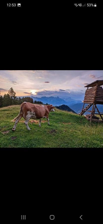 Bergliebe *