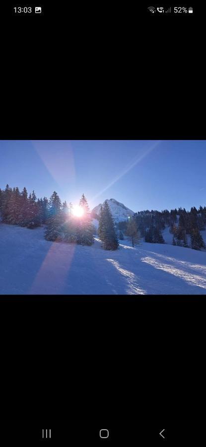 Bergliebe