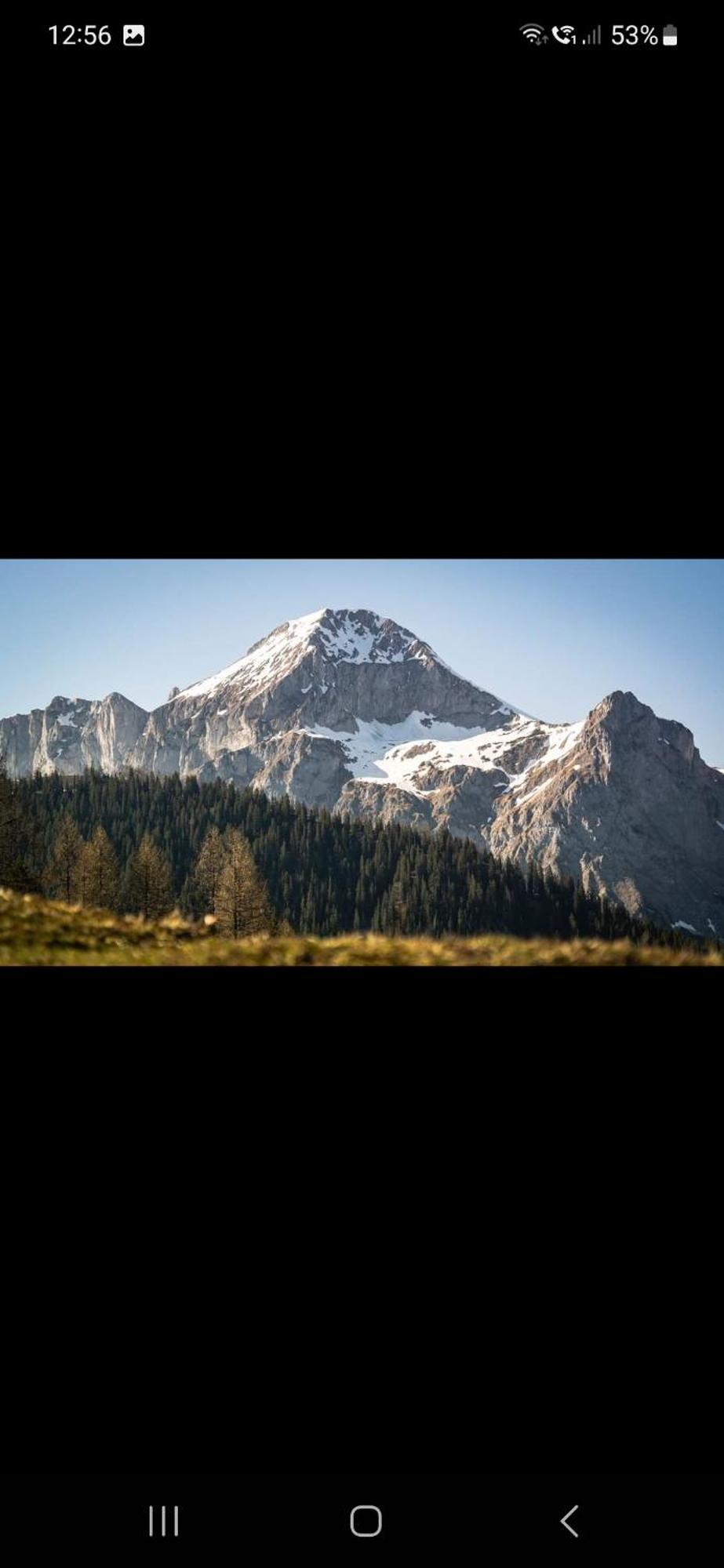 Bergliebe *