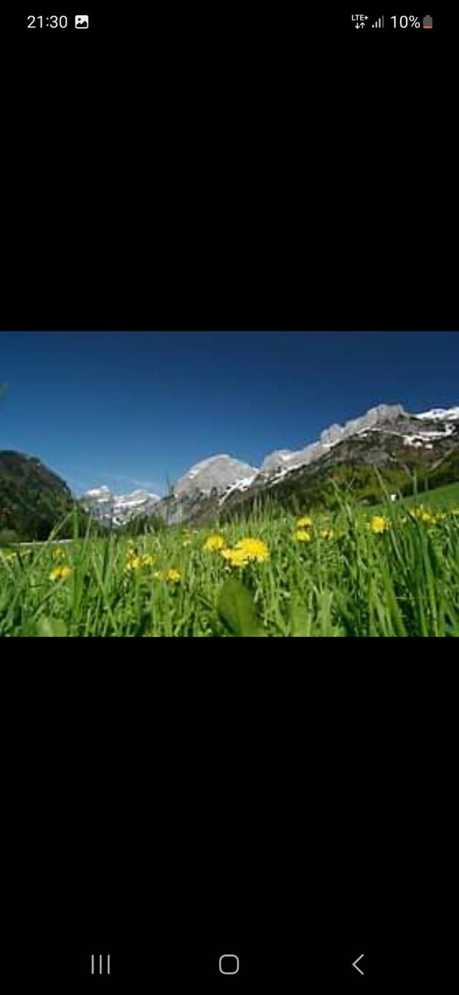 Bergliebe * Sankt Martin am Tennengebirge