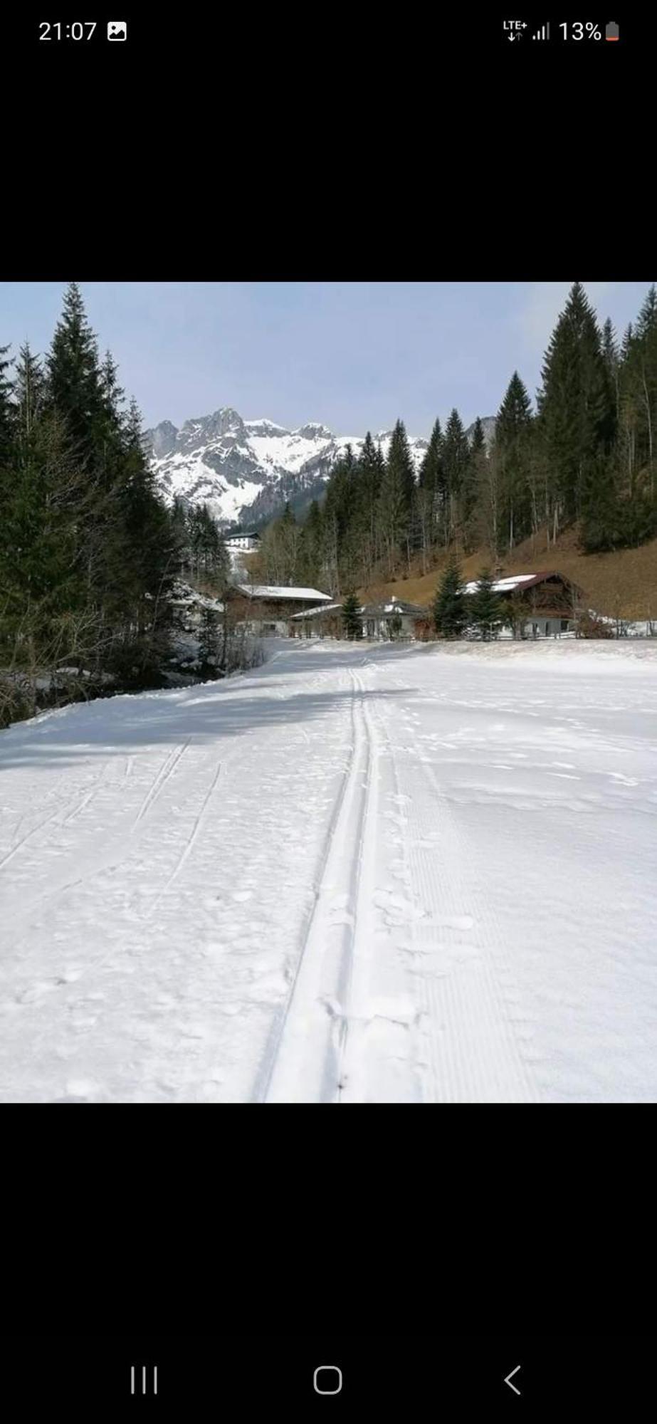 Bergliebe