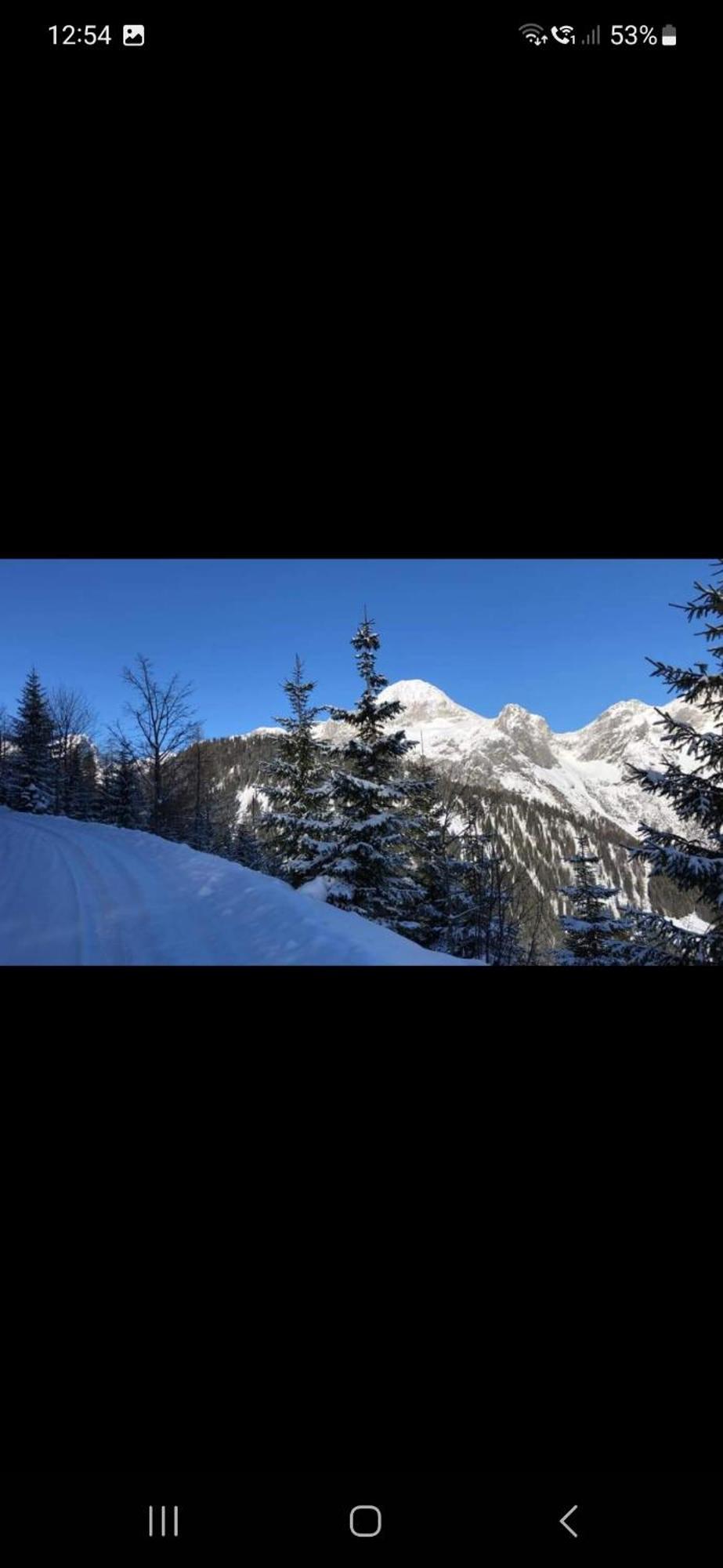 Bergliebe * Sankt Martin am Tennengebirge